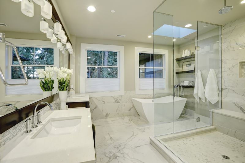 Luxurious Shower with Frameless Glass